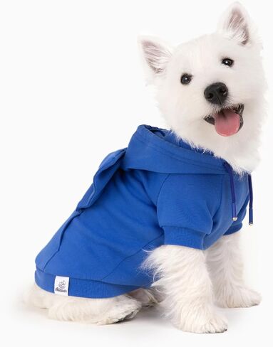 Allisandro Dog Hoodie مع ربطات عنق قابلة للتبديل، ملابس شتوية رائعة للكلاب، سترة بغطاء للرأس للحيوانات الأليفة، مقاس S، أزرق ملكي in Kuwait