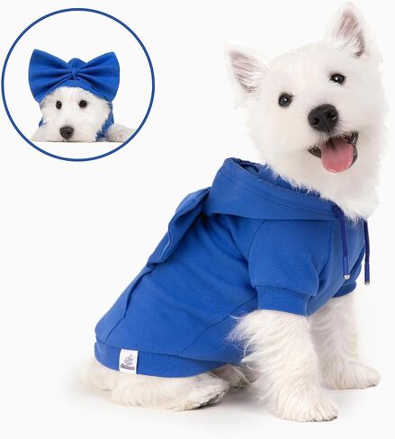 Allisandro Dog Hoodie مع ربطات عنق قابلة للتبديل، ملابس شتوية رائعة للكلاب، سترة بغطاء للرأس للحيوانات الأليفة، مقاس S، أزرق ملكي in Kuwait