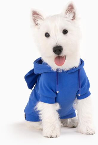 Allisandro Dog Hoodie مع ربطات عنق قابلة للتبديل، ملابس شتوية رائعة للكلاب، سترة بغطاء للرأس للحيوانات الأليفة، مقاس S، أزرق ملكي in Kuwait