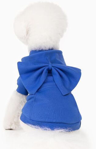 Allisandro Dog Hoodie مع ربطات عنق قابلة للتبديل، ملابس شتوية رائعة للكلاب، سترة بغطاء للرأس للحيوانات الأليفة، مقاس S، أزرق ملكي in Kuwait