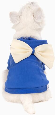 Allisandro Dog Hoodie مع ربطات عنق قابلة للتبديل، ملابس شتوية رائعة للكلاب، سترة بغطاء للرأس للحيوانات الأليفة، مقاس S، أزرق ملكي in Kuwait