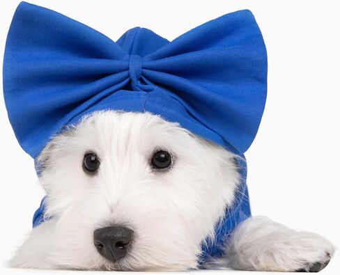 Allisandro Dog Hoodie مع ربطات عنق قابلة للتبديل، ملابس شتوية رائعة للكلاب، سترة بغطاء للرأس للحيوانات الأليفة، مقاس S، أزرق ملكي in Kuwait