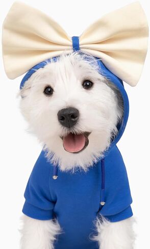 Allisandro Dog Hoodie مع ربطات عنق قابلة للتبديل، ملابس شتوية رائعة للكلاب، سترة بغطاء للرأس للحيوانات الأليفة، مقاس S، أزرق ملكي in Kuwait