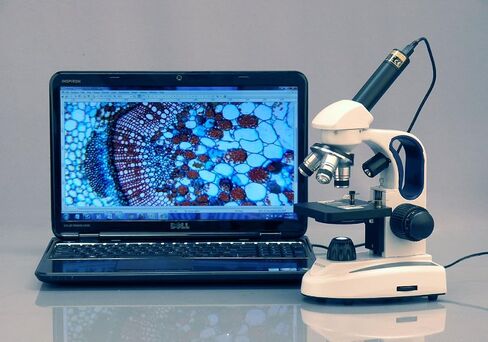AmScope M158C-2L-E2 Compound Monocular Microscope, WF10x and WF25x Eyepieces, 40x-1000x Magnification, Upper and Lower LED Illumination, Brightfield, Single-Lens Condenser, Coaxial Coarse and Fine Focus, Plain Stage, 110V, Includes 2MP Camera and Software in Saudi Arabia