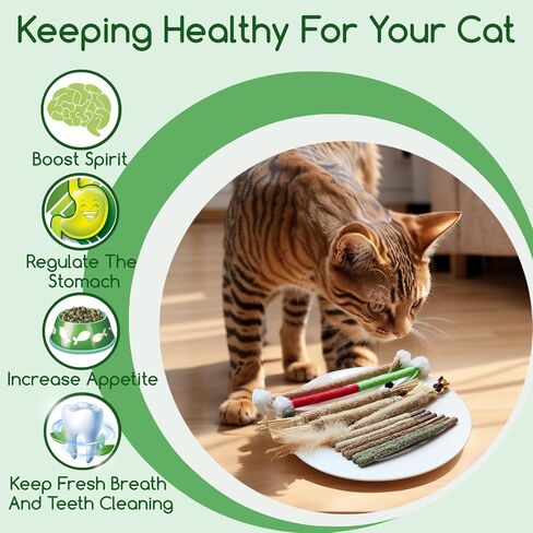 Silvervine Sticks Catnip Rope Toys Set for Cats Teeth Cleaning,Cat Chew Toys,Kitten Dental Care Toys for Indoor Cats to Promote Oral & Dental Health in Saudi Arabia
