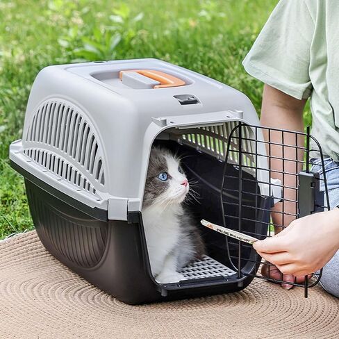 Diydeg Pet Carrier for Travel, Lightweight Hard Sided Cat Carrier with Handle & Water Container, Ventilated Design, Easy Assembly, Portable Dog Crate for Outdooor Indoor (Black) in Saudi Arabia