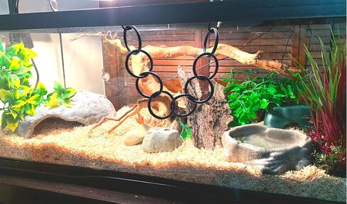 Snake Climbing Hoop Chain for Ball Python Playground Climbing Toys for Corn Snake Enrichment Toys Snake Climbing Chain in Saudi Arabia