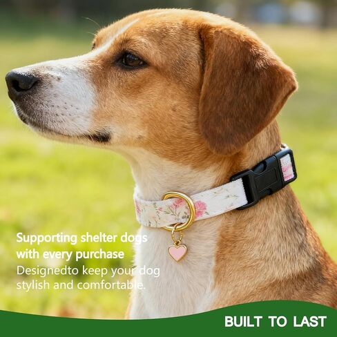 Pink Dog Collar with Flower Cute Girl Dog Collars for Medium Dogs Cats Adjustable Dog Collar for Female Floral Pet Collar for Small Medium Large Dogs (Pink, M) in Saudi Arabia