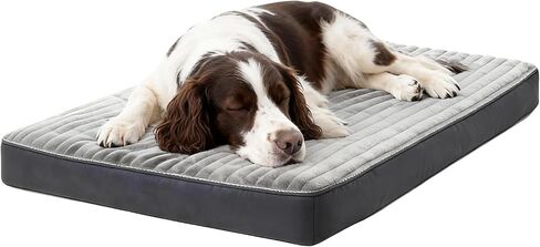 Dog Bed Large Sized Dogs, Orthopedic Flannel Pet Beds with Removable Washable Cover, Waterproof Indestructible Big Dog Bed with Anti-Slip Bottom, Egg Crate Memory Foam Pad, 35.0"x22.0"x3.0", Grey in Saudi Arabia