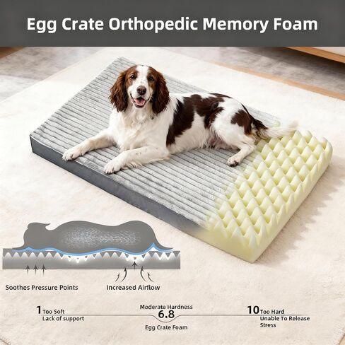 Dog Bed Large Sized Dogs, Orthopedic Flannel Pet Beds with Removable Washable Cover, Waterproof Indestructible Big Dog Bed with Anti-Slip Bottom, Egg Crate Memory Foam Pad, 35.0"x22.0"x3.0", Grey in Saudi Arabia