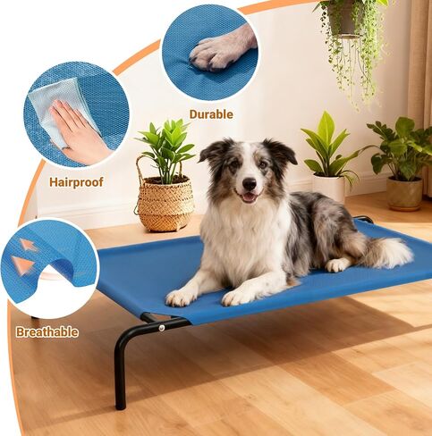 Elevated Dog Bed Waterproof Outdoor Pet Cot Cooling Dog Cot, Raised Bed for Large Dogs with Washable Breathable Mesh, No-Slip Feet, 50.8 x 31 x 8 inches, Blue in Saudi Arabia