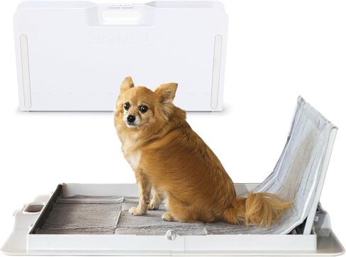 KindTail Pee PAWD - Holds Standard 24" x 24" Potty Pads - Leakproof Tray with Non-Slip Bottom, 1.5" Raised Edge & Modular Side Panel - Easy-to-Clean Plastic - Foldable Design - Handle for Travel in Saudi Arabia
