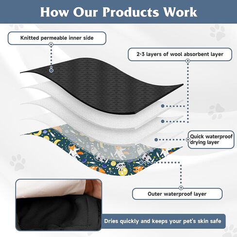 3 Pack Dog Diapers Male Reusable, High Absorbing Washable Dog Wraps, Male Dog Belly Band for Dogs with Incontinence or Frequent Urination(Small, Fox) in Kuwait