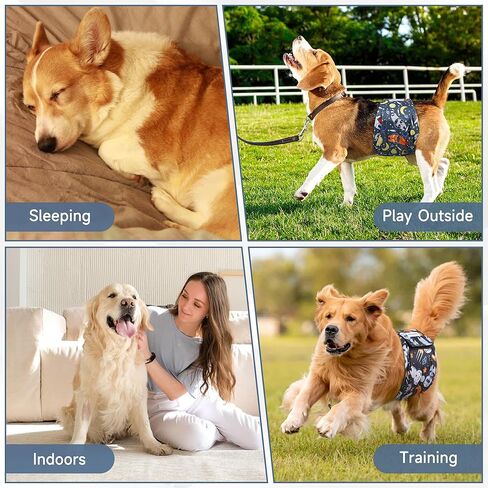 3 Pack Dog Diapers Male Reusable, High Absorbing Washable Dog Wraps, Male Dog Belly Band for Dogs with Incontinence or Frequent Urination(Small, Fox) in Kuwait
