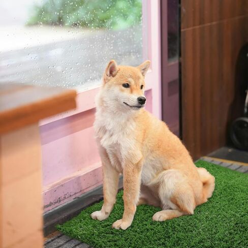 بساط عشب للكلاب، عشب صناعي لتدريب الجراء على استخدام الحمام في الأماكن المغلقة/الخارجية، بساط حمام للحيوانات الأليفة متين وقابل للتصريف وسهل التنظيف للكلاب الصغيرة والكبيرة فقط (34.6 بوصة × 22.5 بوصة) in Kuwait