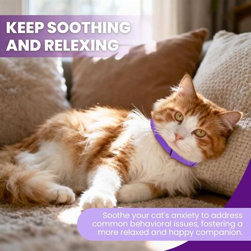 Calming Collar for Cats 4-Packs, Pheromone Collar for Cat, Relief Anxiety Stress Separation Lasts 30 Days, 15 Inches Size Flexible Adjustable, for All Small, Medium, and Large Cats Purple in Saudi Arabia