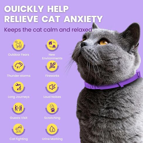 Calming Collar for Cats 4-Packs, Pheromone Collar for Cat, Relief Anxiety Stress Separation Lasts 30 Days, 15 Inches Size Flexible Adjustable, for All Small, Medium, and Large Cats Purple in Saudi Arabia