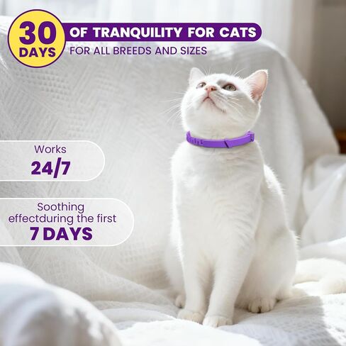 Calming Collar for Cats 4-Packs, Pheromone Collar for Cat, Relief Anxiety Stress Separation Lasts 30 Days, 15 Inches Size Flexible Adjustable, for All Small, Medium, and Large Cats Purple in Saudi Arabia