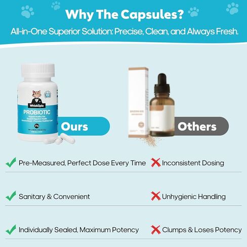 البروبيوتيك للقطط - مكمل بروبيوتيك للقطط لدعم الجهاز الهضمي والأمعاء، وتخفيف الإسهال، وتعزيز المناعة، ومسحوق بروبيوتيك للقطط مع 9 مليار وحدة تشكيل مستعمرة والبريبايوتكس، 60 كبسولة in Kuwait