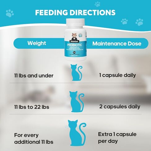 البروبيوتيك للقطط - مكمل بروبيوتيك للقطط لدعم الجهاز الهضمي والأمعاء، وتخفيف الإسهال، وتعزيز المناعة، ومسحوق بروبيوتيك للقطط مع 9 مليار وحدة تشكيل مستعمرة والبريبايوتكس، 60 كبسولة in Kuwait