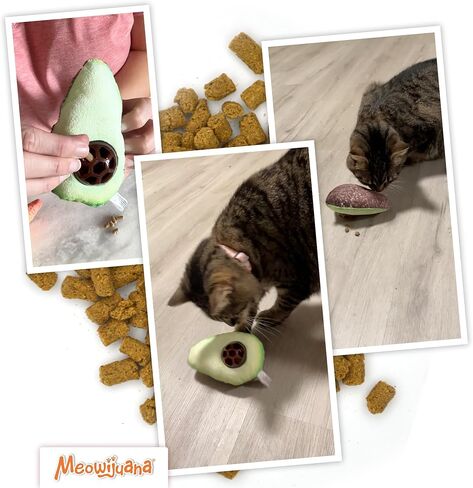 Meowijuana Knock N' Nibble Winter Buddy & Seafood Treat Bundle | Crunchie Munchie Catnip Treats | Refillable Treat Dispensing Toy | Interactive Puzzle Toy for Felines in Kuwait