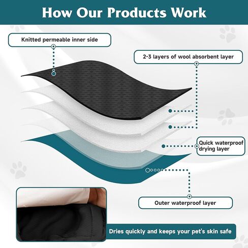 عبوة من 4 حفاضات للكلاب قابلة لإعادة الاستخدام، أغطية للكلاب عالية الامتصاص، أربطة للبطن للكلاب الذكور التي تعاني من سلس البول أو التبول المتكرر (صغير، برتقالي ورمادي) in Kuwait