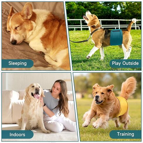 عبوة من 4 حفاضات للكلاب قابلة لإعادة الاستخدام، أغطية للكلاب عالية الامتصاص، أربطة للبطن للكلاب الذكور التي تعاني من سلس البول أو التبول المتكرر (صغير، برتقالي ورمادي) in Kuwait