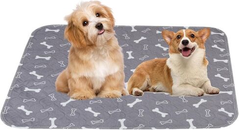 وسادات تبول PuppyPad، وسادات جرو قابلة لإعادة الاستخدام مع الفيرومونات، وسادات متينة مضادة للتسرب ومضادة للانزلاق لتدريب الحيوانات الأليفة للاستخدام الداخلي للكلاب (كبير: 28 بوصة × 32 بوصة) in Kuwait