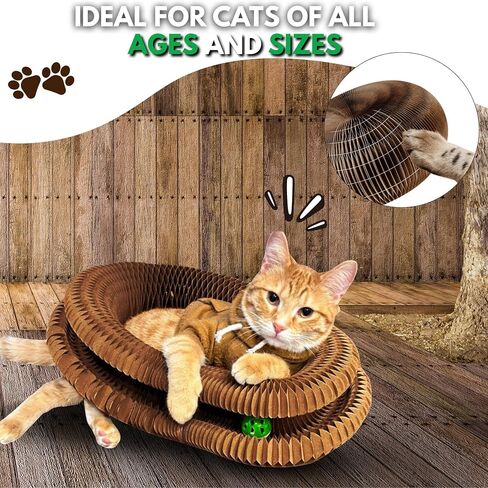 لعبة Greenwich Kitty Kurlz Infinity Cat ذات الوجهين - عضو سحري متين مصنوع من الورق المقوى المموج المعاد تدويره | لعبة ألغاز خدش وعلاج القطط صديقة للبيئة وتدوم طويلاً للقطط (عبوة من قطعة واحدة) in Kuwait
