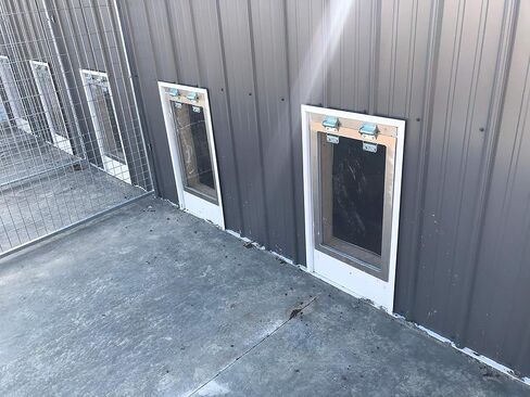 | Heavy Duty Dog Door | Chew Proof, Weather Tight, Energy Efficient | Metal Dog Door | Dog Size 20-120 Lbs | 14"x 20" Frame in Saudi Arabia