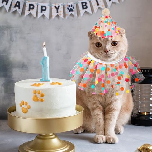 الزي قبعة عيد ميلاد القط ووشاح باندانا، زي أميرة القط والكلب، زي جرو عيد ميلاد باندانا، قبعة تاج للحفلات، وشاح لطيف من الدانتيل للجرو، وشاح مريلة للكلب، ديكورات للحفلات للقطط والكلاب الإناث الصغيرة والمتوسطة in Kuwait