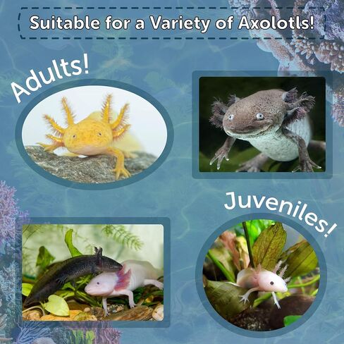 Axolotl Food 1/8" حبيبات سمك السلمون الغارقة الناعمة والرطبة للأحداث Axolotl أيضًا الروبيان والقواقع وسرطان البحر وجراد البحر والأسماك الاستوائية السفلية..جرة صغيرة بحجم 11oz in Kuwait