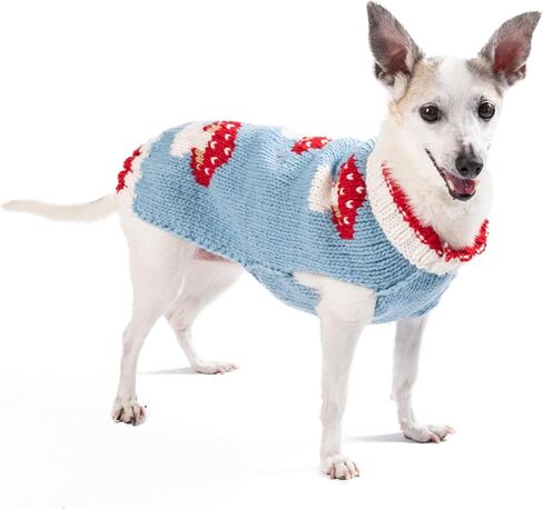 Chilly Dog Mushroom Sweater (Medium) in Saudi Arabia