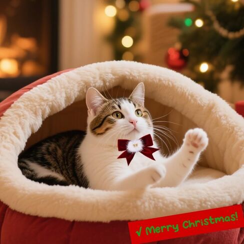 عطلة الأقواس للكلاب القطط جرو الحيوانات الأليفة الشريط القوس التعادل لطوق الكلب لعيد الميلاد حزب الملحقات للحيوانات الاليفة الكلب القط الأحمر القوس التعادل الكلب الياقات للكلاب المتوسطة جرو العلاقات القوس للبنين بنات عيد الميلاد ربطة عنق in Kuwait