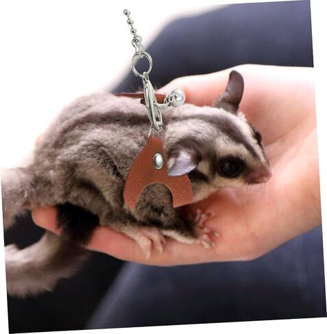 SUPVOX Adjustable Sugar Glider Traction Rope Bite-Resistant Chain Brown Outdoor Leash for Small Pets for Sugar Gliders and Other Small Animals in Saudi Arabia