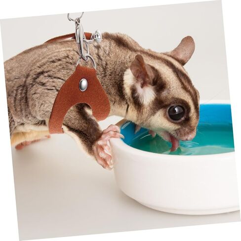 SUPVOX Adjustable Sugar Glider Traction Rope Bite-Resistant Chain Brown Outdoor Leash for Small Pets for Sugar Gliders and Other Small Animals in Saudi Arabia