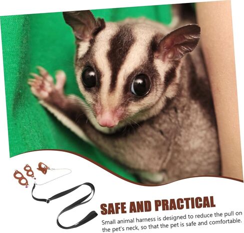 SUPVOX Adjustable Sugar Glider Traction Rope Bite-Resistant Chain Brown Outdoor Leash for Small Pets for Sugar Gliders and Other Small Animals in Saudi Arabia