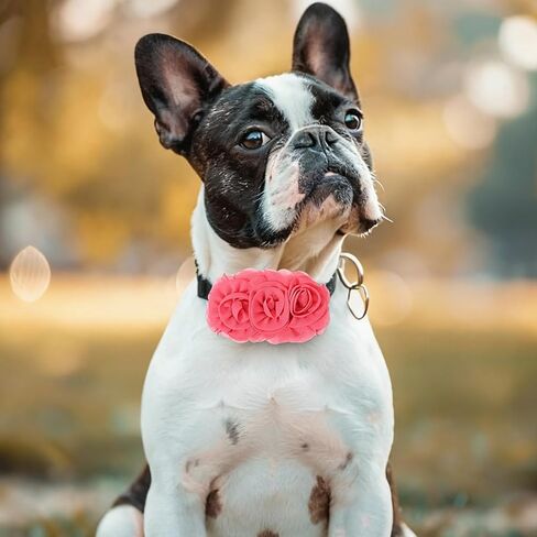 5 PCS Dog Collar Flowers, Dog Collar Charms Flower Set Multicolored Pet Flowers Bow Ties for Cat Puppy Dogs Collars Grooming Accessories in Kuwait