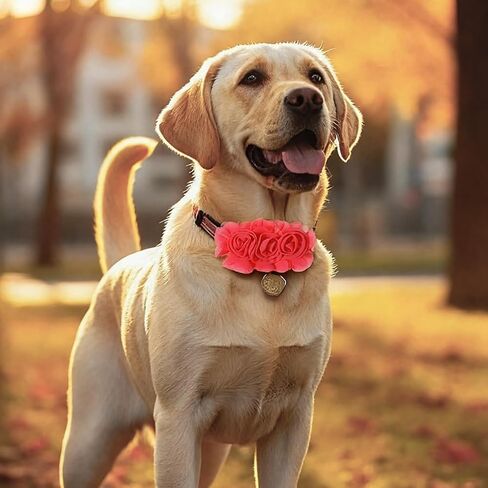 5 PCS Dog Collar Flowers, Dog Collar Charms Flower Set Multicolored Pet Flowers Bow Ties for Cat Puppy Dogs Collars Grooming Accessories in Kuwait