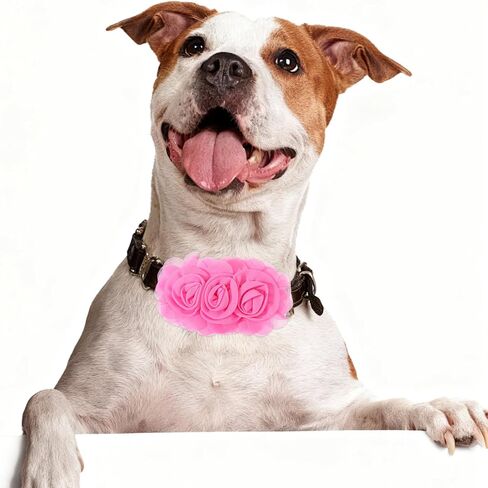 5 PCS Dog Collar Flowers, Dog Collar Charms Flower Set Multicolored Pet Flowers Bow Ties for Cat Puppy Dogs Collars Grooming Accessories in Kuwait