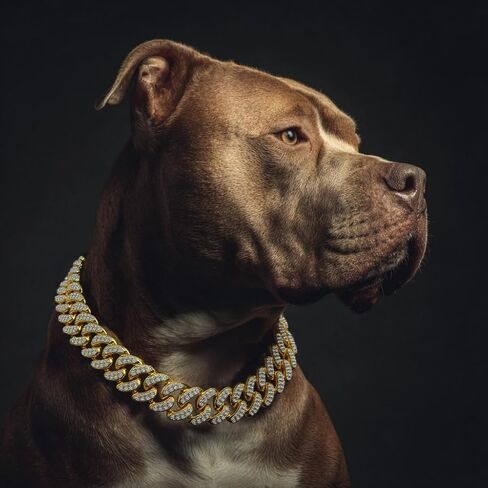 Sparkling Cuban Link Dog Collar with Diamond Inlay - Elegant Gold Chain for Dogs and Cats, Comfortable fit, 8 Size Options (3XL) in Saudi Arabia