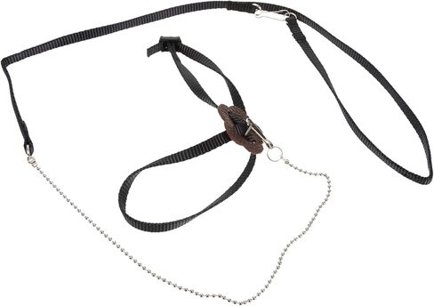 GANAZONO Adjustable Turtle Leash Reptile Lead Faux Pet Training Leash for Turtle and Lizard Small Rope Harness for Pet Walk in Saudi Arabia