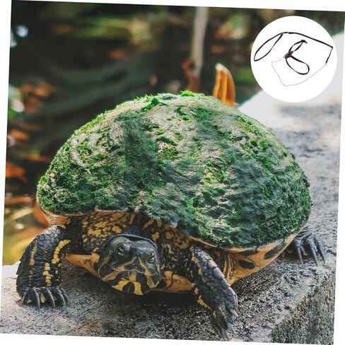 GANAZONO Adjustable Turtle Leash Reptile Lead Faux Pet Training Leash for Turtle and Lizard Small Rope Harness for Pet Walk in Saudi Arabia