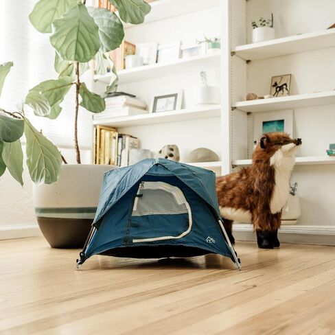 Tiny Tents in Saudi Arabia
