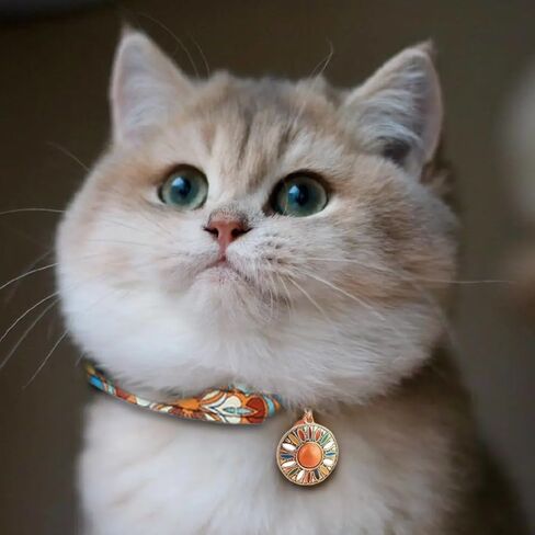 Boho Cat Collar Adjustable Pet Collar with Bell and Metal Pendant Tassel Tribal Aztec Pattern Breakaway Collar for Cats and Small Dogs in Saudi Arabia