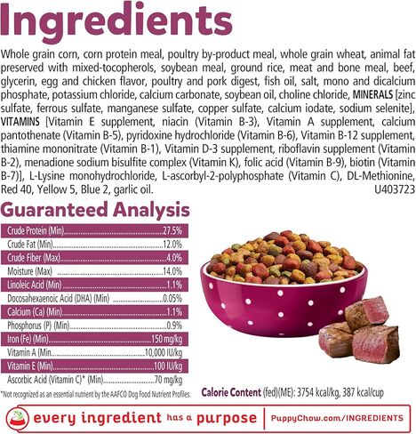 Purina, طعام الجراء الجاف عالي البروتين من Puppy Chow، طري ومقرمش مع لحم البقر الحقيقي، 4.4 رطل in Saudi Arabia