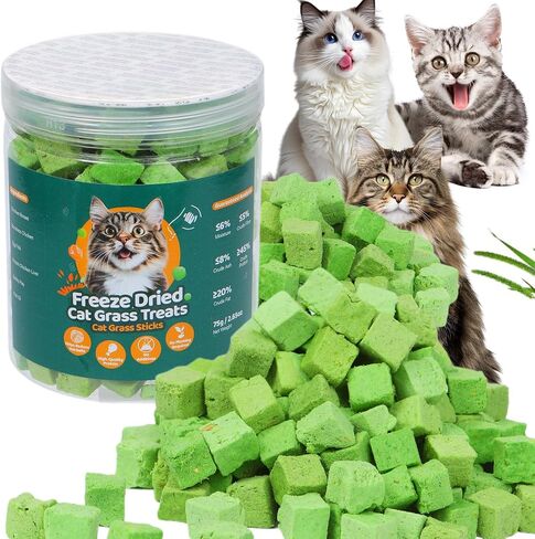 100g Freeze-Dried Cat Grass Treats, Natural Hairball Treatment for Cats, Edible Cats Chew Toy Cat Treats Snack for Teething Cleaning Hairball Removal in Saudi Arabia