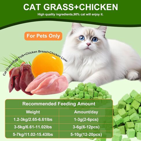 100g Freeze-Dried Cat Grass Treats, Natural Hairball Treatment for Cats, Edible Cats Chew Toy Cat Treats Snack for Teething Cleaning Hairball Removal in Saudi Arabia