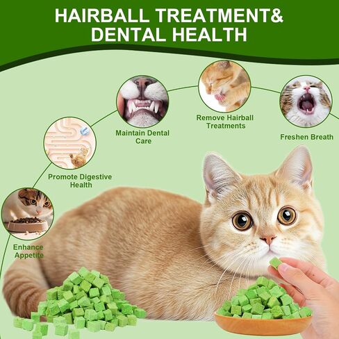 100g Freeze-Dried Cat Grass Treats, Natural Hairball Treatment for Cats, Edible Cats Chew Toy Cat Treats Snack for Teething Cleaning Hairball Removal in Saudi Arabia
