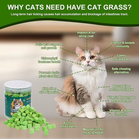 100g Freeze-Dried Cat Grass Treats, Natural Hairball Treatment for Cats, Edible Cats Chew Toy Cat Treats Snack for Teething Cleaning Hairball Removal in Saudi Arabia